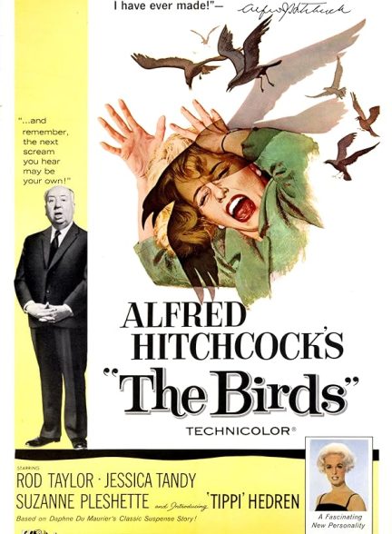 دانلود فیلم پرندگان | 1963 The Birds