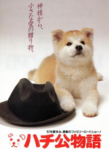 دانلود فیلم هاچی داستان یک سگ | Hachi-ko