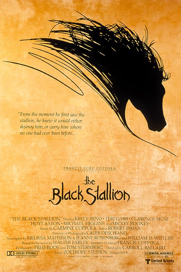 دانلود فیلم اسب نر سیاه | The Black Stallion