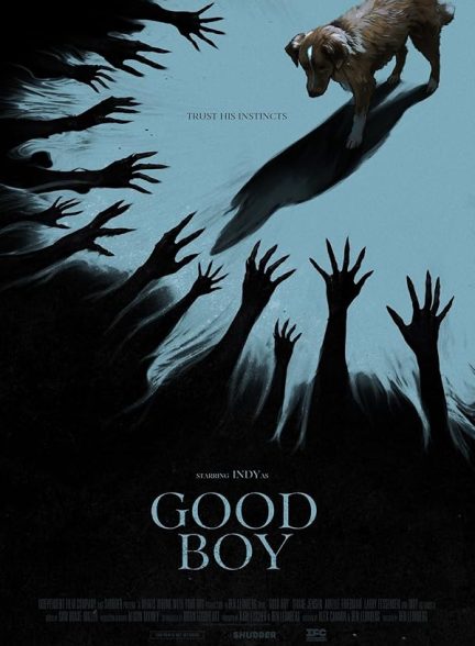 دانلود فیلم پسر خوب | Good Boy 2025